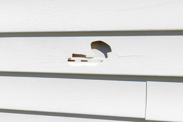 Best Same-Day Junk Removal Services  in Tipton, MO